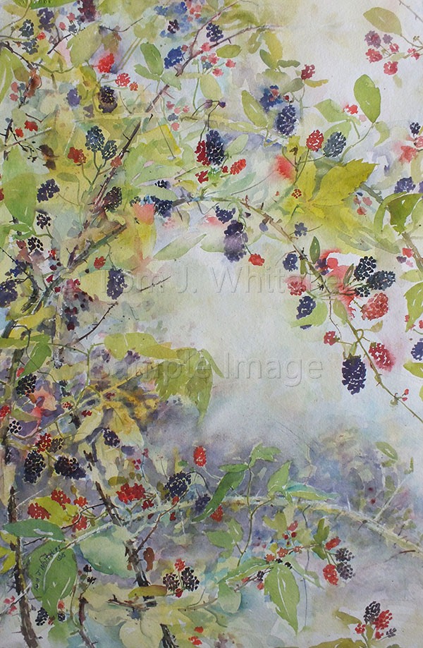 Blackberries