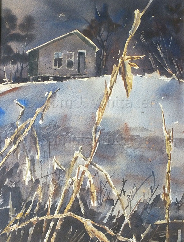 The Mann's Cabin